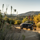 Image for article titled 2020 Audi A6 Allroad Carves Out A Softer Niche